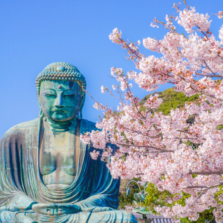 A full-day private trip of Yokohama and Kamakura that explores the city's highlights and seaside temples.
